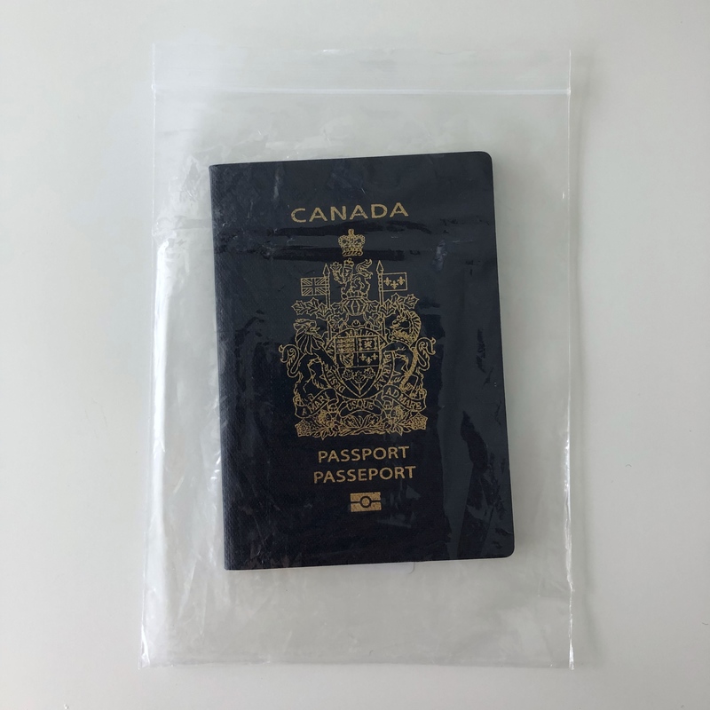 A zipper storage bag as a passport protector